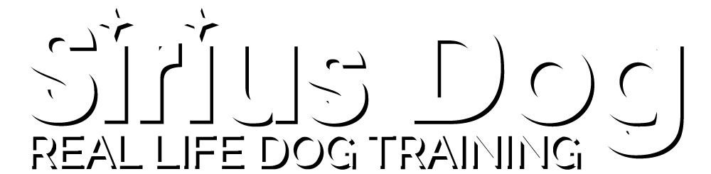 Sirius Dog – Dog Training, Boarding, Daycare Sirius Dog - Dog Training, Boarding, Daycare